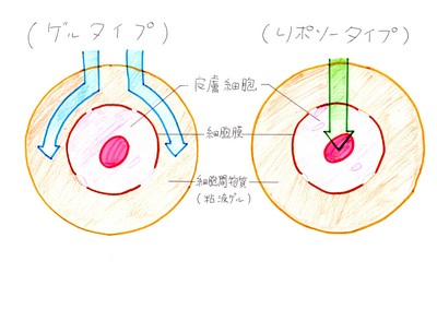 img014.jpgのサムネール画像