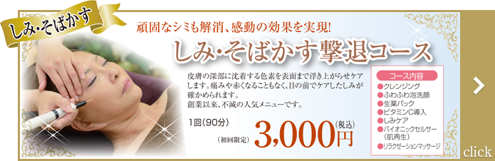 esthe-course_simi.png