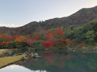 IMG_5994.jpg