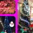 ピュア田原本店(●´ Ｖ｀●)　クリスマスツリーを飾りました！！