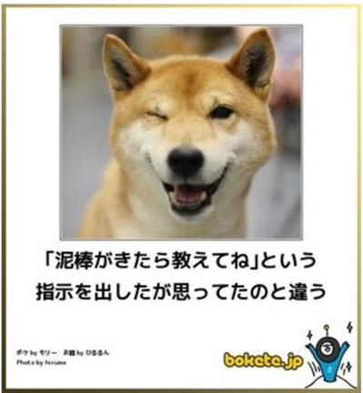 dog1.PNG