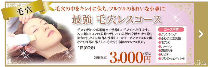 最強 毛穴レスコース