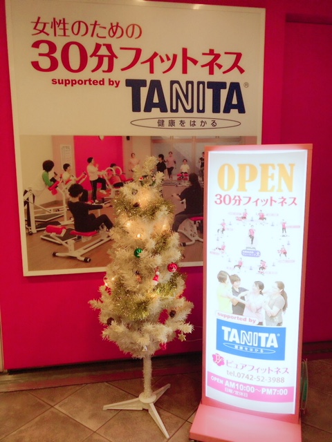 tree2.jpg