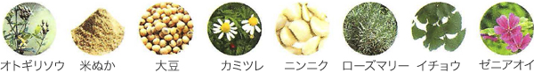 スキンケア