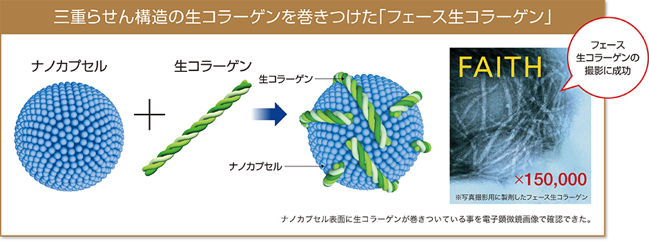 フェース化粧品生コラーゲン　エステサロンピュア奈良