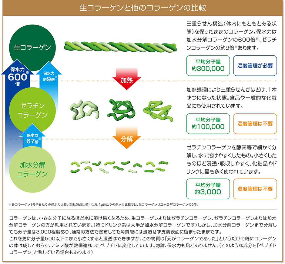 フェース化粧品生コラーゲン　エステサロンピュア奈良