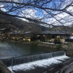 京都嵐山でほのぼの日和💚🌷✨・・・ピュアイオンモール橿原店
